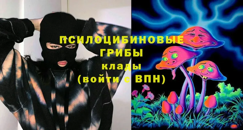 Галлюциногенные грибы Magic Shrooms  где можно купить   Коряжма 